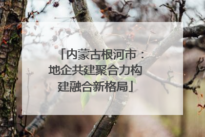 内蒙古根河市：地企共建聚合力构建融合新格局