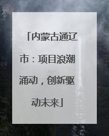 内蒙古通辽市：项目浪潮涌动，创新驱动未来