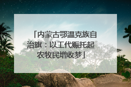 内蒙古鄂温克族自治旗：以工代赈托起农牧民增收梦