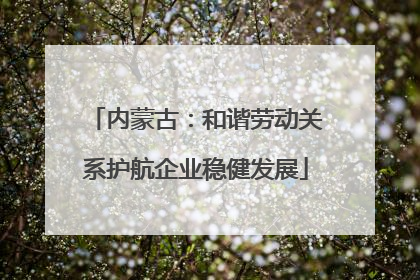 内蒙古：和谐劳动关系护航企业稳健发展