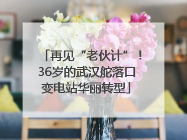 再见“老伙计”！36岁的武汉舵落口变电站华丽转型