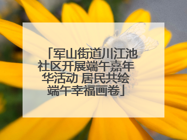 军山街道川江池社区开展端午嘉年华活动 居民共绘端午幸福画卷