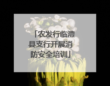 农发行临澧县支行开展消防安全培训