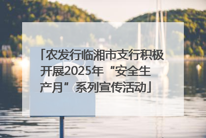 农发行临湘市支行积极开展2025年“安全生产月”系列宣传活动