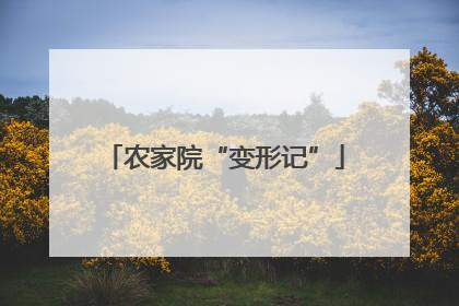 农家院“变形记”