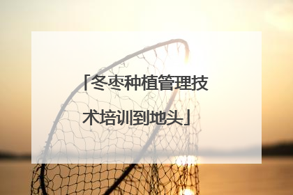 冬枣种植管理技术培训到地头