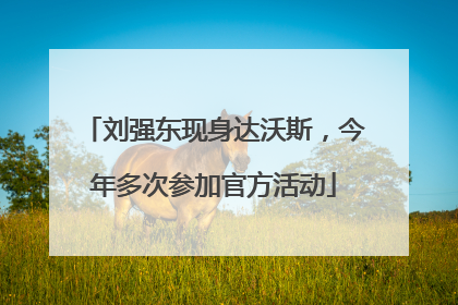 刘强东现身达沃斯，今年多次参加官方活动