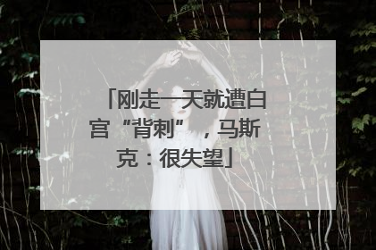 刚走一天就遭白宫“背刺”，马斯克：很失望