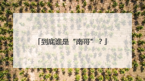 到底谁是“南哥”？
