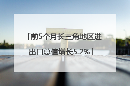 前5个月长三角地区进出口总值增长5.2%