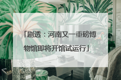 剧透：河南又一重磅博物馆即将开馆试运行