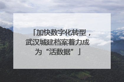 加快数字化转型，武汉城建档案着力成为“活数据”