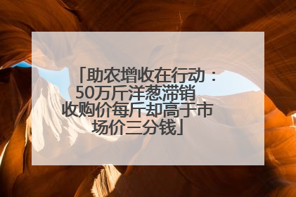 助农增收在行动：50万斤洋葱滞销 收购价每斤却高于市场价三分钱
