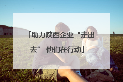 助力陕西企业“走出去” 他们在行动