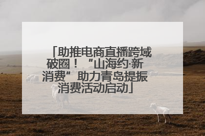 助推电商直播跨域破圈！“山海约·新消费”助力青岛提振消费活动启动