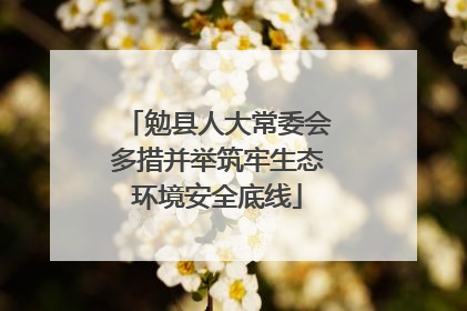 勉县人大常委会多措并举筑牢生态环境安全底线