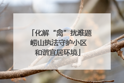 化解“禽”扰难题 崂山执法守护小区和谐宜居环境