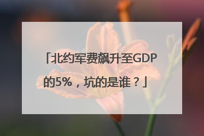 北约军费飙升至GDP的5%，坑的是谁？
