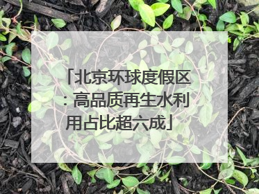 北京环球度假区：高品质再生水利用占比超六成