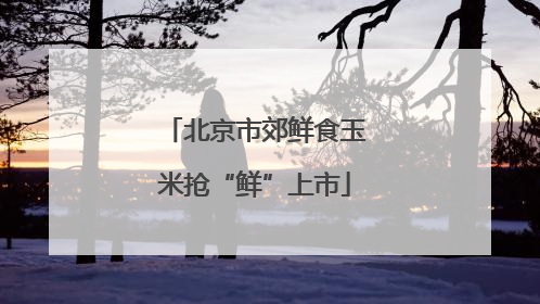 北京市郊鲜食玉米抢“鲜”上市