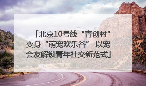 北京10号线“青创村”变身“萌宠欢乐谷” 以宠会友解锁青年社交新范式