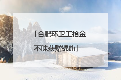 合肥环卫工拾金不昧获赠锦旗