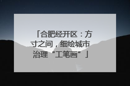 合肥经开区：方寸之间，细绘城市治理“工笔画”