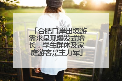合肥口岸出境游需求呈现爆发式增长，学生群体及家庭游客是主力军