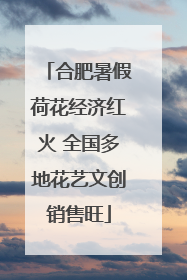 合肥暑假荷花经济红火 全国多地花艺文创销售旺