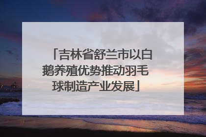 吉林省舒兰市以白鹅养殖优势推动羽毛球制造产业发展