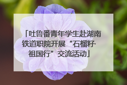 吐鲁番青年学生赴湖南铁道职院开展“石榴籽·祖国行”交流活动