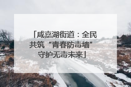 咸嘉湖街道：全民共筑“青春防毒墙” 守护无毒未来