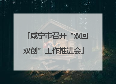 咸宁市召开“双回双创”工作推进会