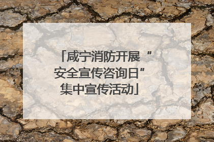 咸宁消防开展“安全宣传咨询日”集中宣传活动