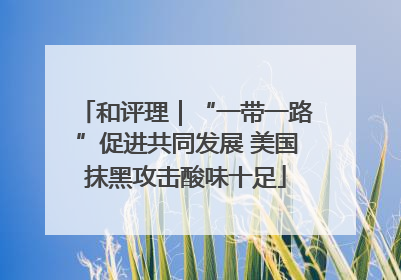 和评理｜“一带一路”促进共同发展 美国抹黑攻击酸味十足