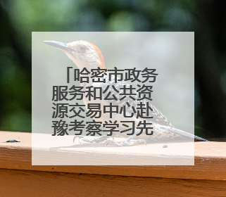 哈密市政务服务和公共资源交易中心赴豫考察学习先进经验