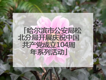 哈尔滨市公安局松北分局开展庆祝中国共产党成立104周年系列活动