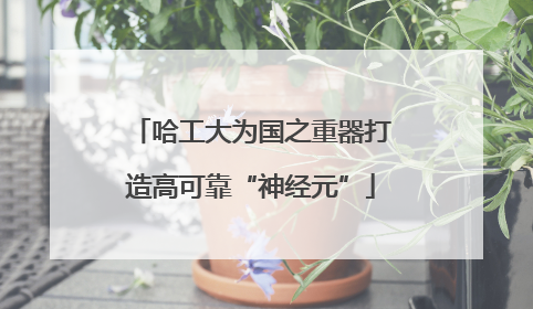 哈工大为国之重器打造高可靠“神经元”