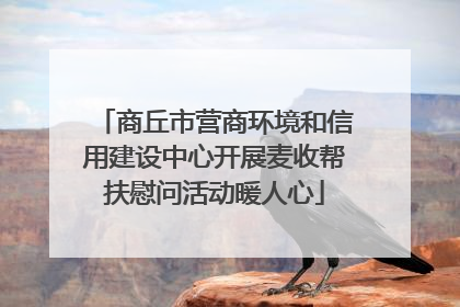 商丘市营商环境和信用建设中心开展麦收帮扶慰问活动暖人心