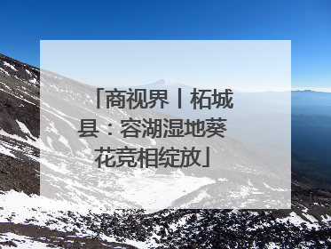 商视界丨柘城县：容湖湿地葵花竞相绽放