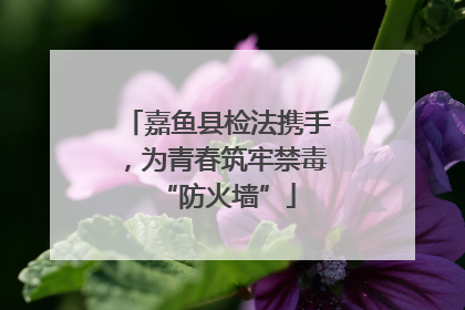 嘉鱼县检法携手，为青春筑牢禁毒“防火墙”