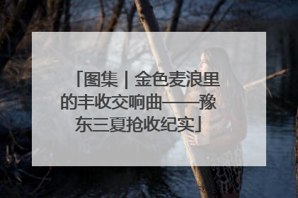 图集｜金色麦浪里的丰收交响曲——豫东三夏抢收纪实
