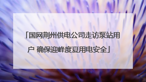 国网荆州供电公司走访泵站用户 确保迎峰度夏用电安全