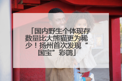 国内野生个体现存数量比大熊猫更为稀少！扬州首次发现“国宝”彩鹮