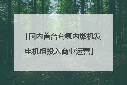 国内首台套氢内燃机发电机组投入商业运营
