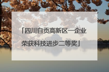 四川自贡高新区一企业荣获科技进步二等奖