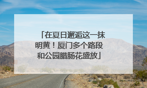 在夏日邂逅这一抹明黄！厦门多个路段和公园腊肠花盛放
