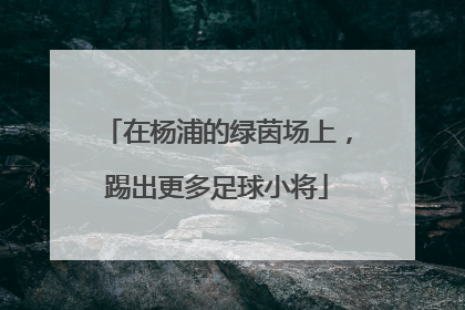 在杨浦的绿茵场上，踢出更多足球小将