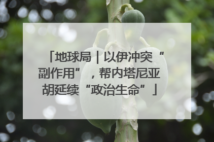 地球局｜以伊冲突“副作用”，帮内塔尼亚胡延续“政治生命”