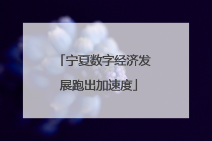 宁夏数字经济发展跑出加速度